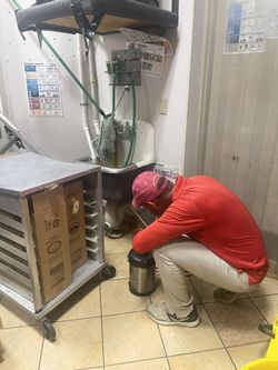 Producto 100% Efectivo, Fumigación