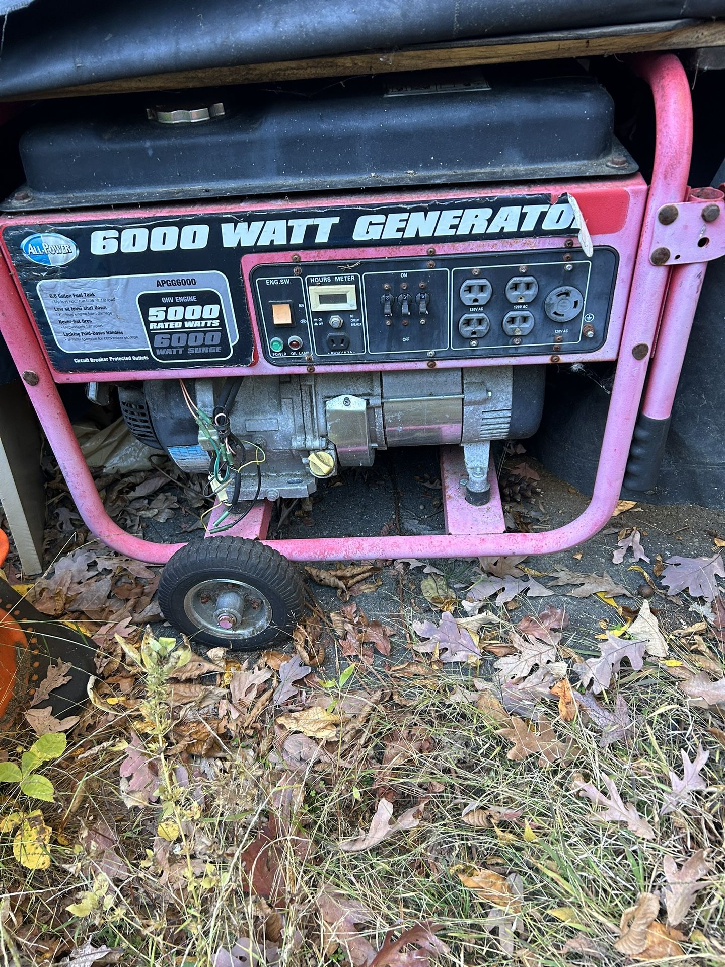 Generator. Needs Carb Clean $200