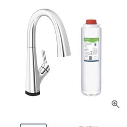 Elkay kitchen Faucet With filter 