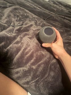Apple Home Mini