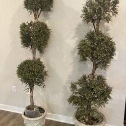 Fake Plants 