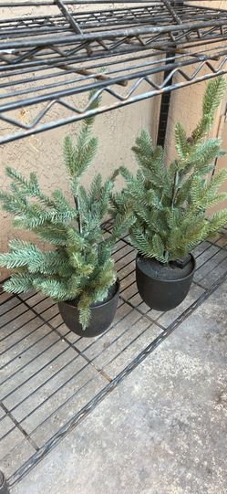 Fake plants