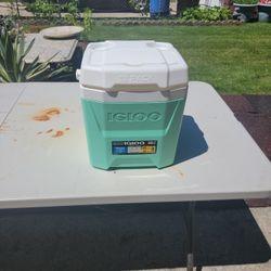 Igloo Cooler 
