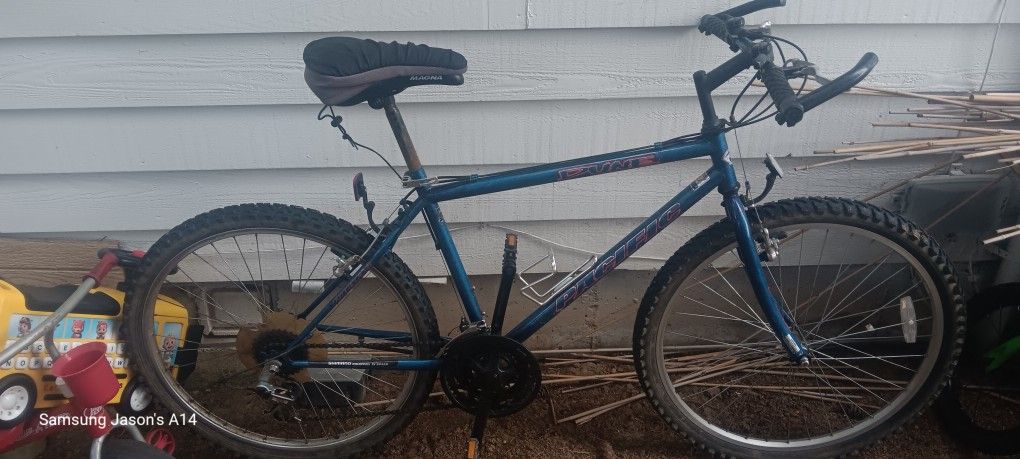 Pacific Dune Mountain Bike