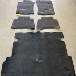 (OEM)2023 Lexus GX Floor Mat (Barely used)