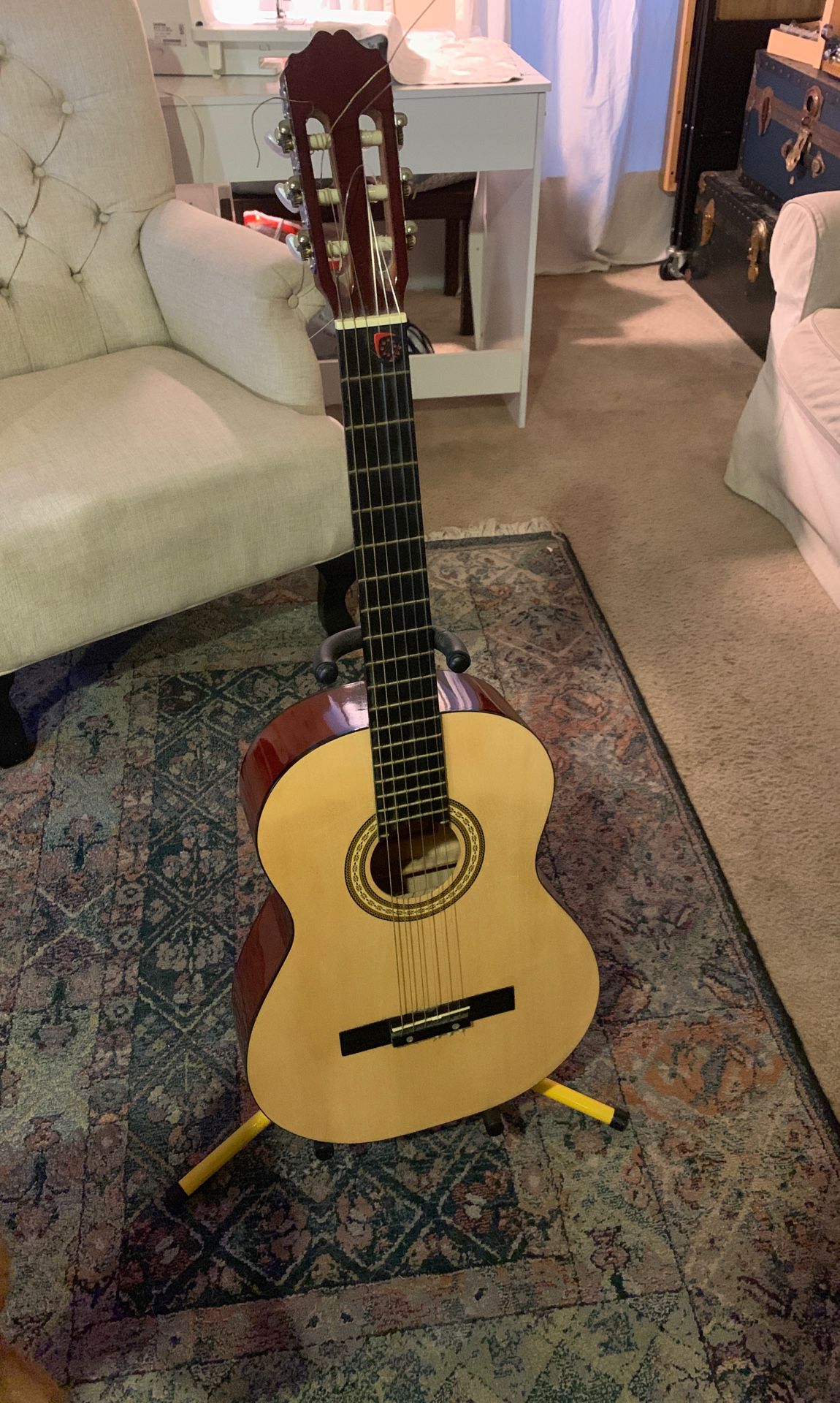 Jay Turser Acoustic Guitar With Stand
