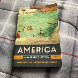 America A Narrative History Vol 2