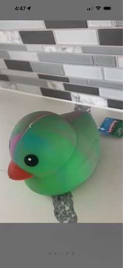 Squeeze Duck new