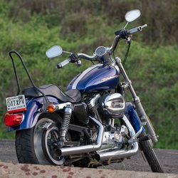2006 Harley Sportster 1200 XL Custom