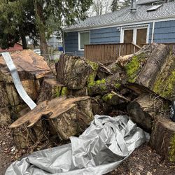 Free Wood Firewood 