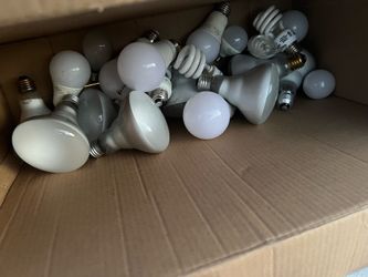 Lights