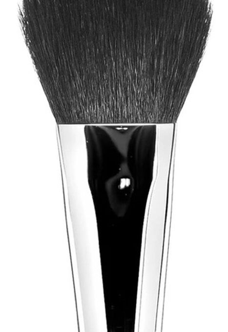 Studio Gear Perfect Blush Brush #13