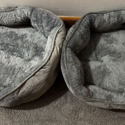 2 Grey cat pillows