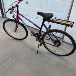 Vintage 10 Speed Roadmaster