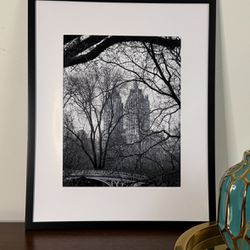 Black and White Framed Print 16x20 NYC Central Park