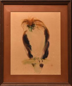 watchful gaze (Philippine Eagle) Drawing