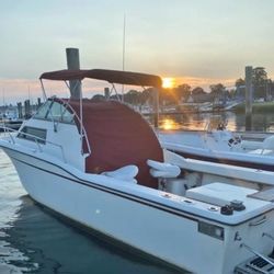 1986 Cruisers Sea Devil 25!