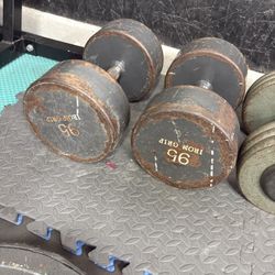 95 Lb Dumbbells 