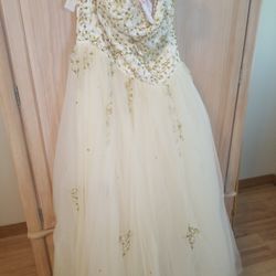 Princess Prom Dress 14-16 champagne 