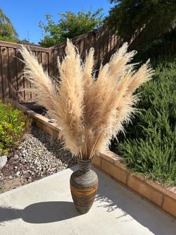 58" Tall Natural Pampas Grass Arrangement - 18 Stems + Large Vase