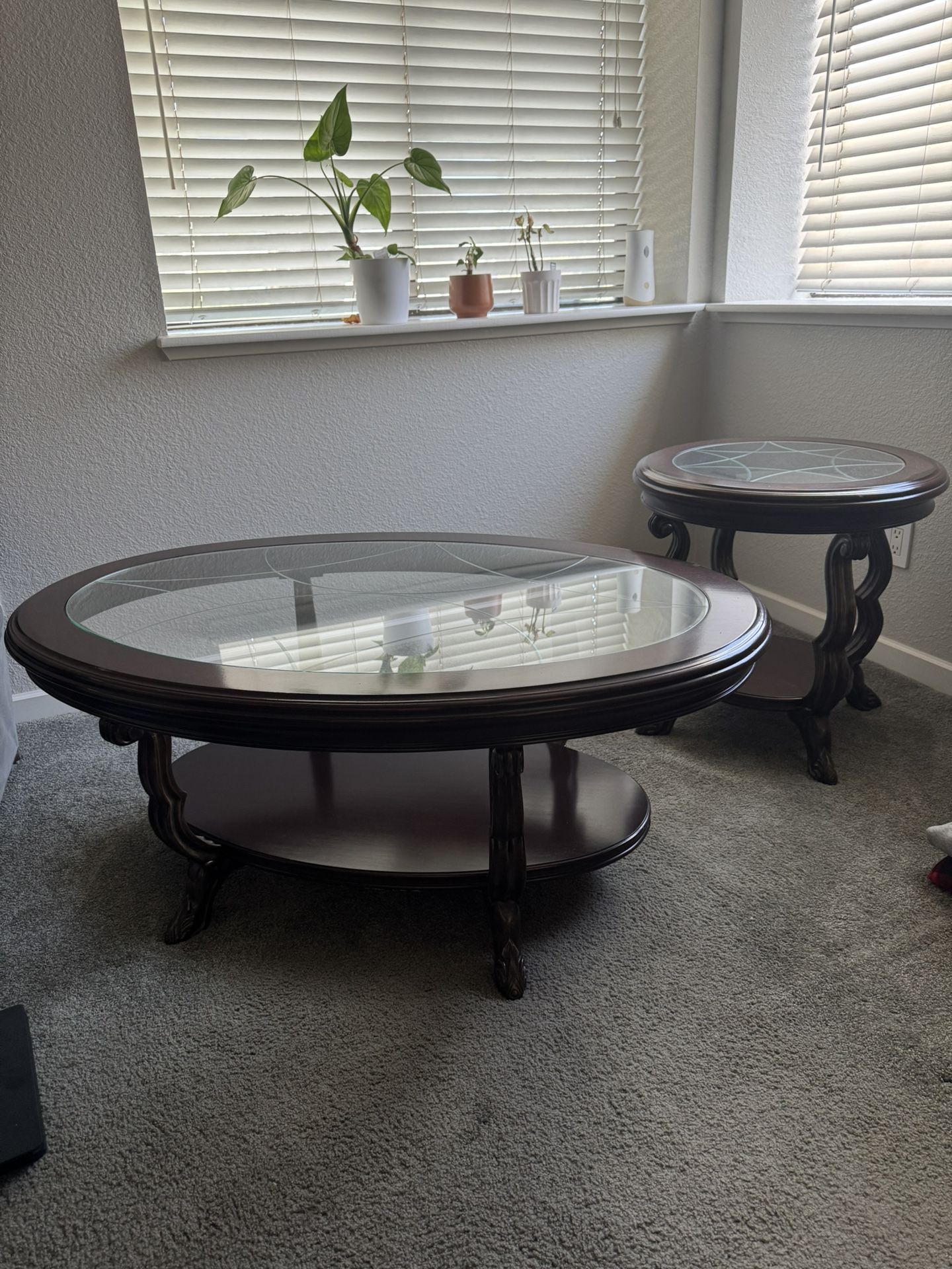 Coffee Table (Set of 2) 