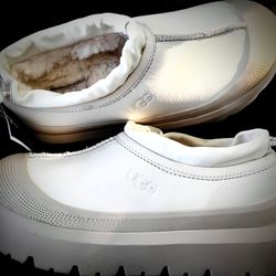 Uggs Shoes