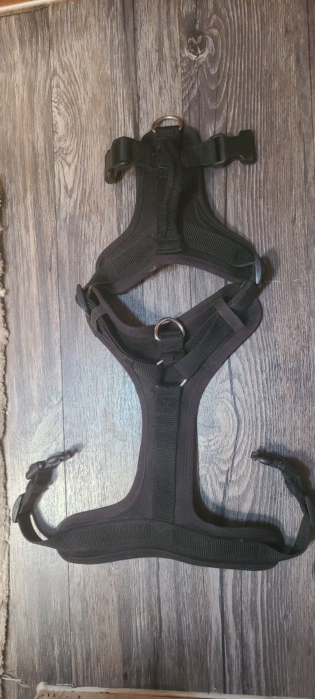 Black Dog Harness (M)