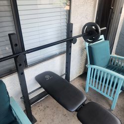 Bench and Weights.