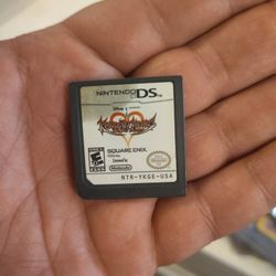 Nintendo DS 
