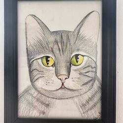 Hand Drawn Tabby cat Framed drawing
