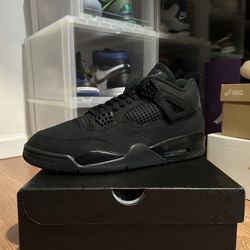 Black Cat 4s