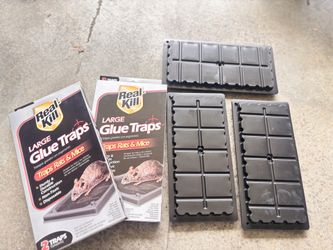New-Glue Trap -All for 10$