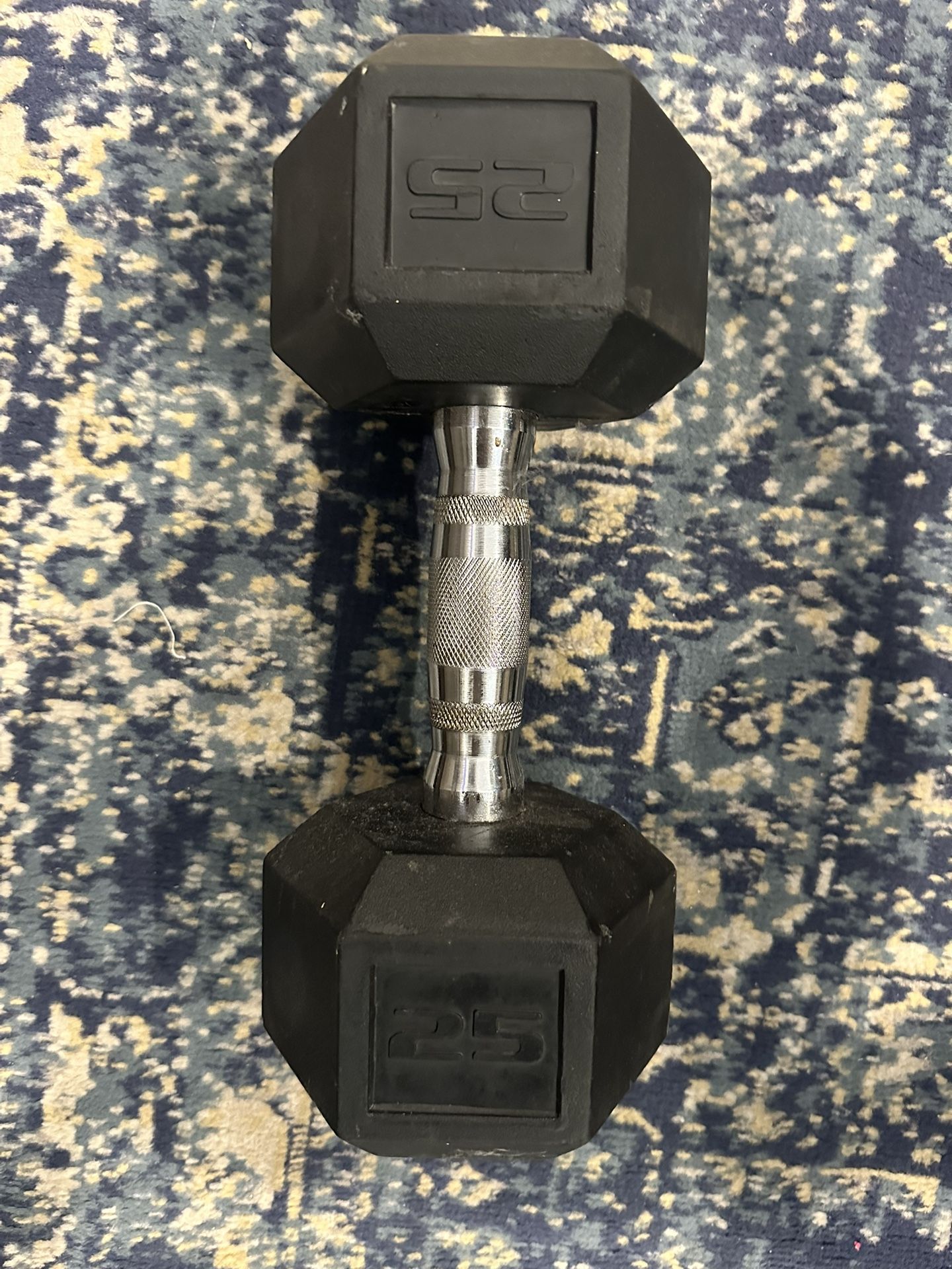 Single 25 LB Dumbbell