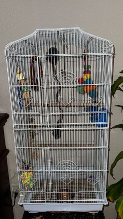 Parrot cage