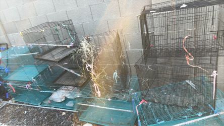 Storage clean out everything must be done