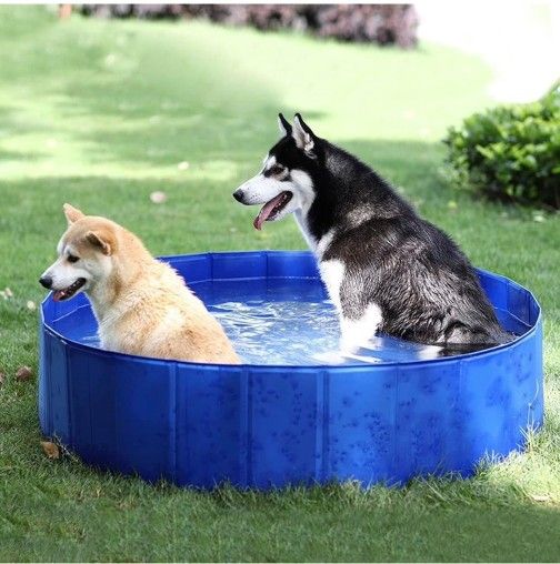 Pet Pool Set