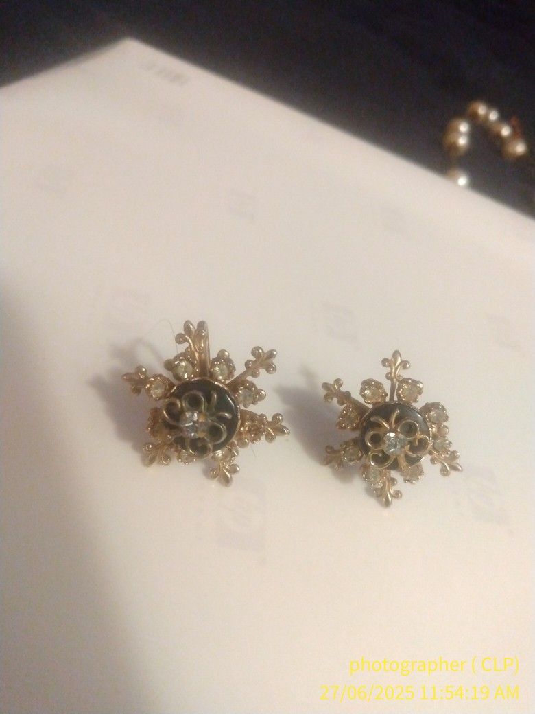 Vintage Old Screw On Earrings
