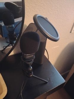 Mic And Stand 