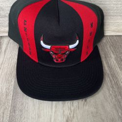 Chicago Bulls Snapback Hat$35