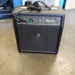 Guitar Amp/PA Speaker