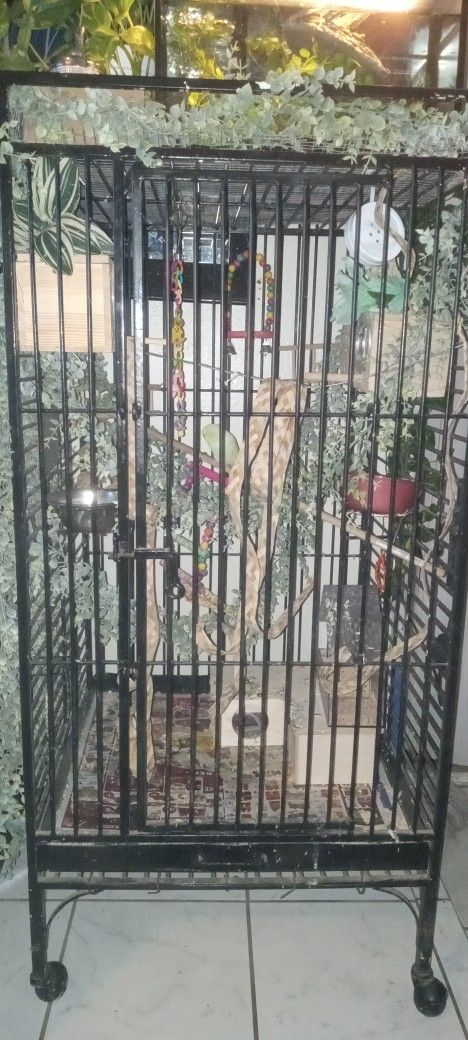 Bird Cage