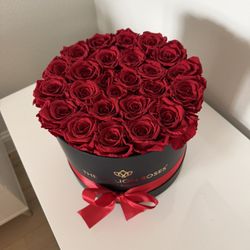 The Million Roses 