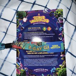 BEYOND WONDERLAND 2026 2-DAY GA PASS (1)