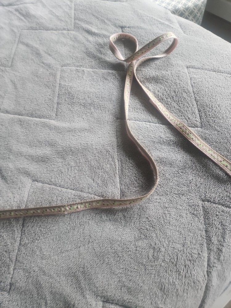 Dog Leash For Small Dog Are Puppy