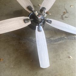 Ceiling Fan