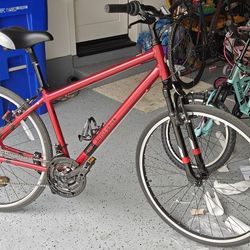 17 Inch Hybrid Bike Light Weight 4 Weeks Old