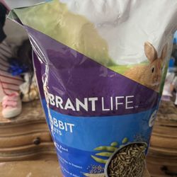 Rabbit Food 