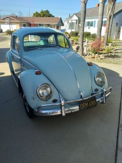 1964 Volkswagen Beetle