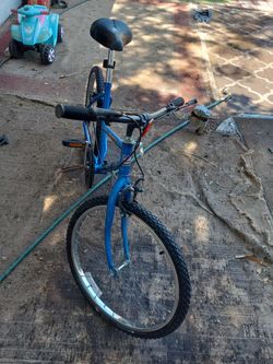 Olx discount ladies bike