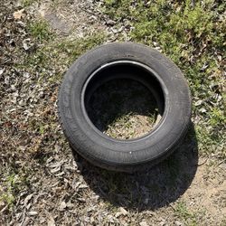 Tire 15   205/65